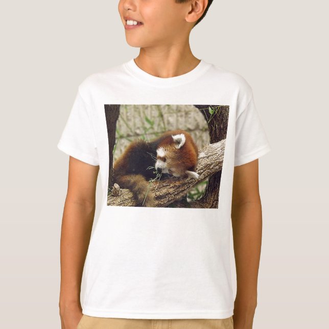 Cute Sleeping Red Panda med mat i munnen Tröja (Framsida)