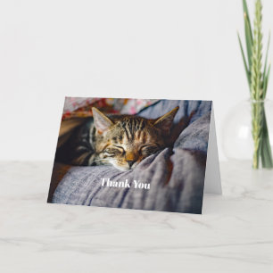 Cute Sleeping Tabby katt Photo Tack Kort