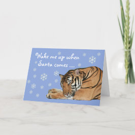 Cute Sleeping Tiger Snöflingor Blue-julkort Helgkort