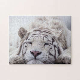 Cute Sleeping White Tiger Pussel