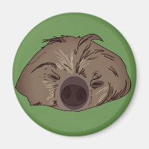 Cute Sloth Art Magnet