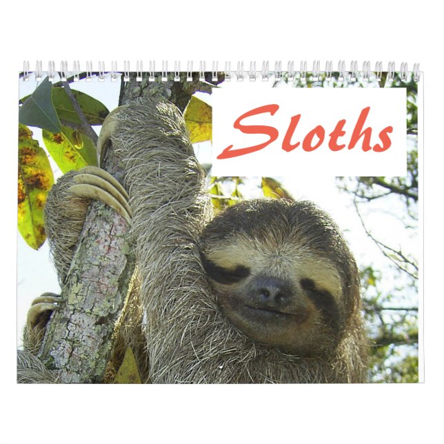 Cute Sloth Bilder | Bilder med dålig lutning Kalender (Omslag)