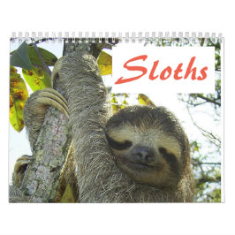 Cute Sloth Bilder | Bilder med dålig lutning Kalender