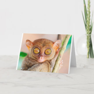Cute Slow Loris Birthday Card Kort