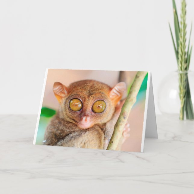 Cute Slow Loris Birthday Card Kort (Framsida)