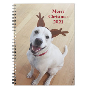 Cute Smiler White Reindeer Hund - Julbok Anteckningsbok