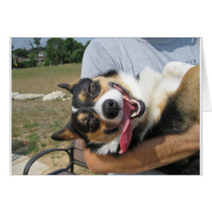 Cute Smiling Corgi Hund Hälsningskort