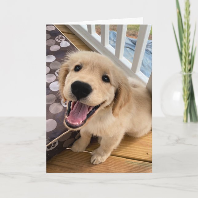Cute Smiling Golden Retriever Puppy Hund Hej Kort (Framsida)