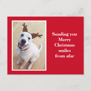 Cute Smiling Reindeer Puppy Hund Red jul Vykort