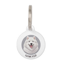 Cute Smiling Samoyed Hund