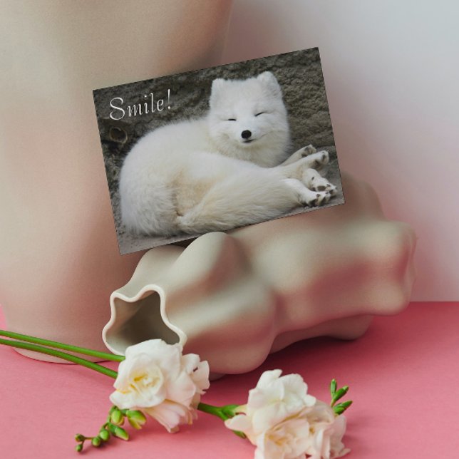 Cute Smiling White Arctic Fox Nature Birthday Kort (In Situ)