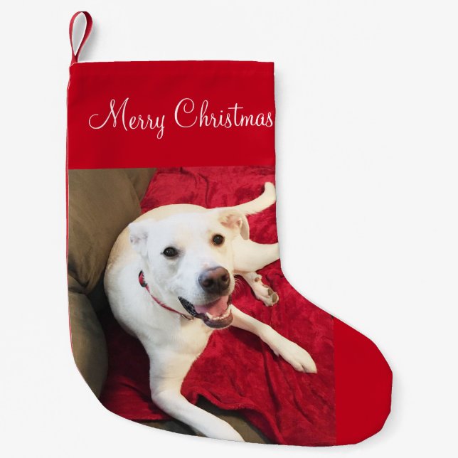 Cute Smiling White Lab Mix Hund jul Liten Julstrumpa (Framsidan)