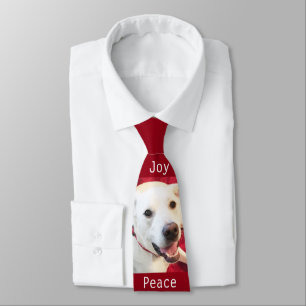 Cute Smiling White Puppy Hund Joy Jul Red Slips
