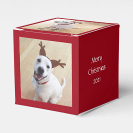 Cute Smiling White Reindeer Hund Jul Red Presentaskar