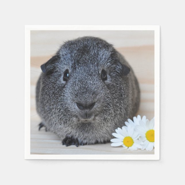 Cute Smooth, Silver Agouti Guinea Gris och Daisy Pappersservett (Framsidan)