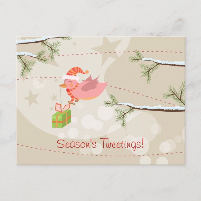 Cute Snö Bird-vykort Helg Vykort (Framsida)