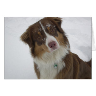 Cute Snö Hund Hälsningskort