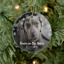 Cute Snöflingor Hund Photo Pet Memorial