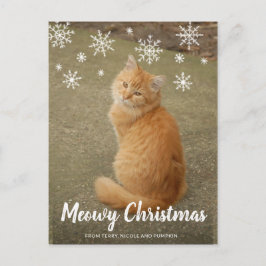 Cute Snöflingor Photo Cat Meowy jul Helg Vykort