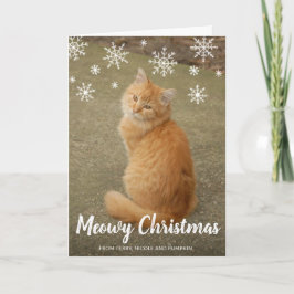 Cute Snöflingor Photo Cat Meowy jul Helgkort