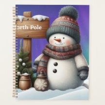 Cute snögubbe på Nordpolen med norra ljus