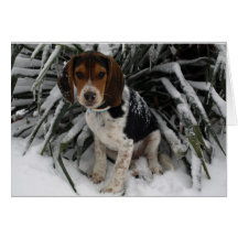 Cute Snoopy Beagle Puppy Hund i Snö