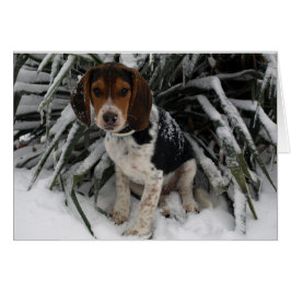 Cute Snoopy Beagle Puppy Hund i Snö Hälsningskort