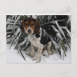 Cute Snoopy Beagle Puppy Hund i Snö Vykort