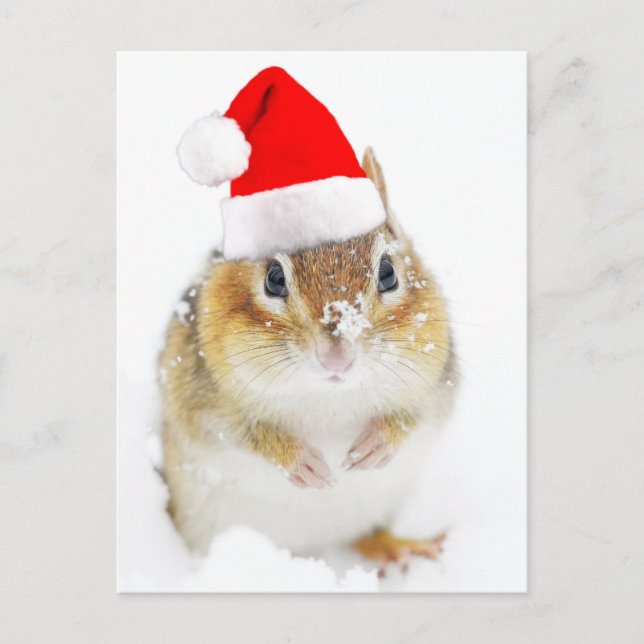Cute Snowy Santa Chipmunk Helg Vykort (Framsida)
