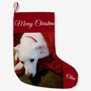 Cute Snowy White Lab Mix Hund-julklapp Liten Julstrumpa