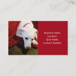 Cute Snowy White Puppy Red Helgdag Visitkort