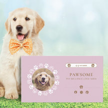 Cute Social Media Pet Influencer Dusty Rosa