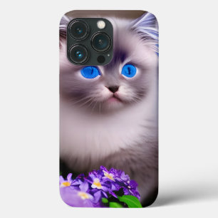 Cute Soft Blue Eyed Himalayan Kitten