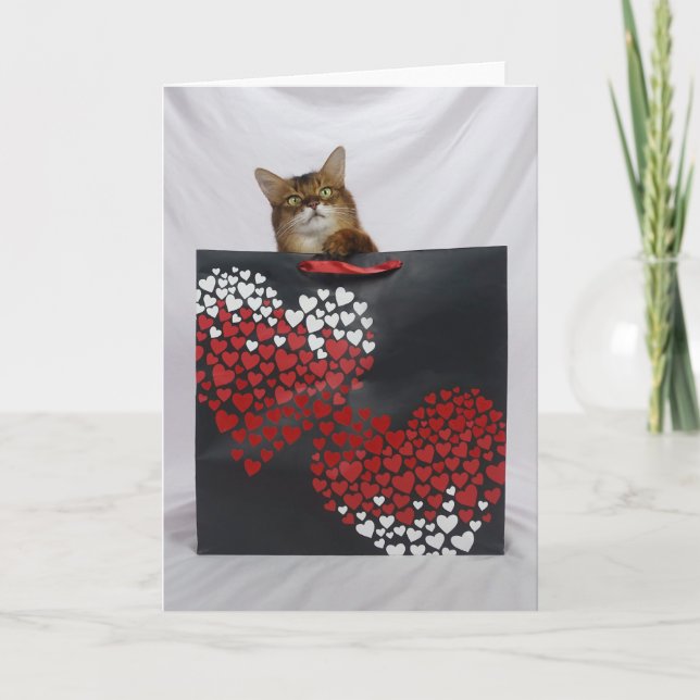 Cute Somali Cat in Bag Valentine Day Card Tack Kort (Framsida)
