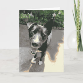 Cute Sömmande Hund i Lycklig med ett svart ben Kort