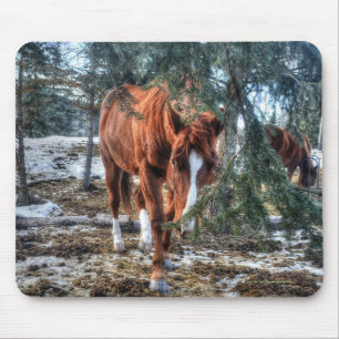 Cute Sorrel Mare och Grenar Horse-älskare Gift Musmatta
