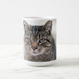 Cute, söt, adlig, katt Mugg