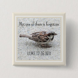 Cute Sparrow Bird Photo Bible Verse Simple Tan Knapp