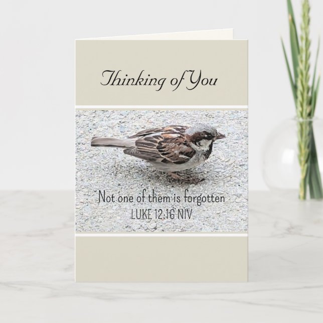 Cute Sparrow Bird Photo Bible Verse Simple Tan Kort (Framsida)