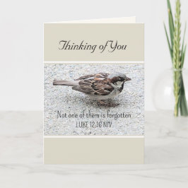 Cute Sparrow Bird Photo Bible Verse Simple Tan Kort