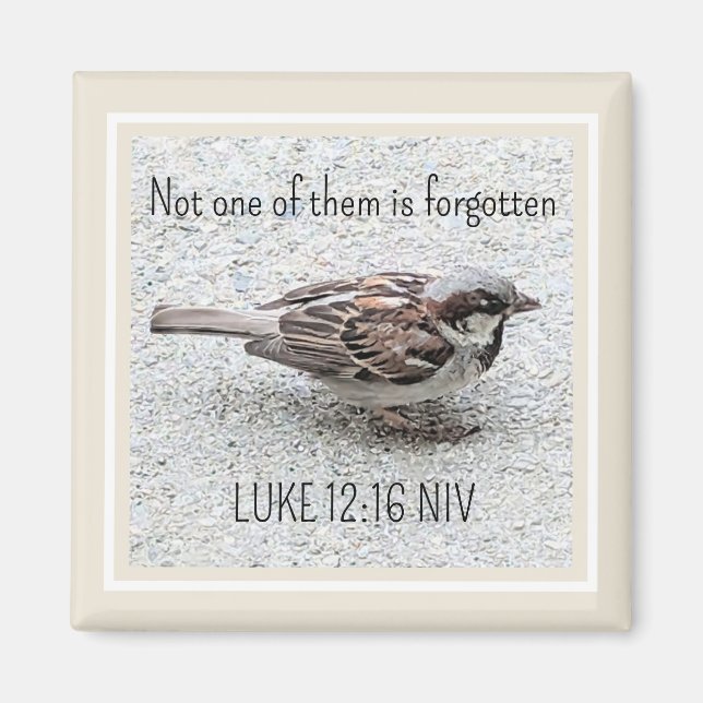 Cute Sparrow Bird Photo Bible Verse Simple Tan Magnet (Framsidan)
