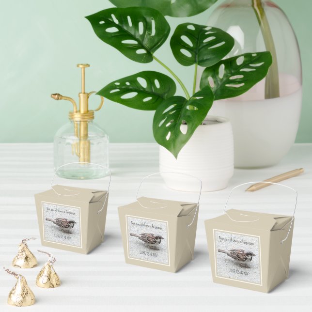 Cute Sparrow Bird Photo Bible Verse Simple Tan Presentaskar (Multipel)