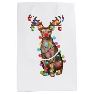 Cute Sphynx Cat Lover Funny Julafton Helgdag Gift