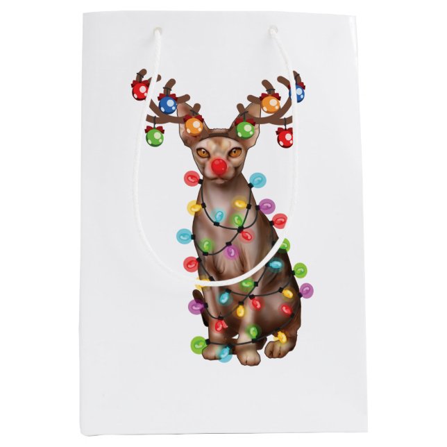 Cute Sphynx Cat Lover Funny Julafton Helgdag Gift (Framsidan)