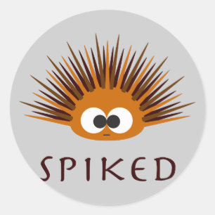 Cute Spiked Orange Sea Urchin Runt Klistermärke