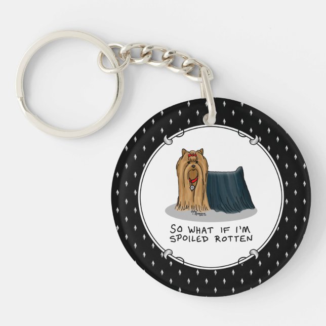 Cute Spoiled Rotten Yorkshire Terrier (Yorkie) (Framsidan)