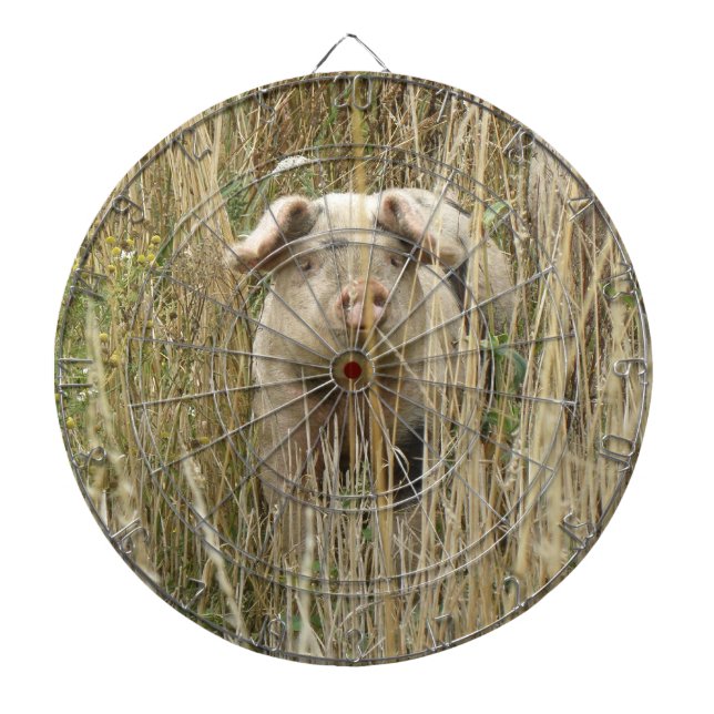 Cute Spotty Gris Dart Board Darttavla (Framsidan)