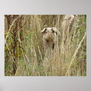 Cute Spotty Gris Skriv ut Poster