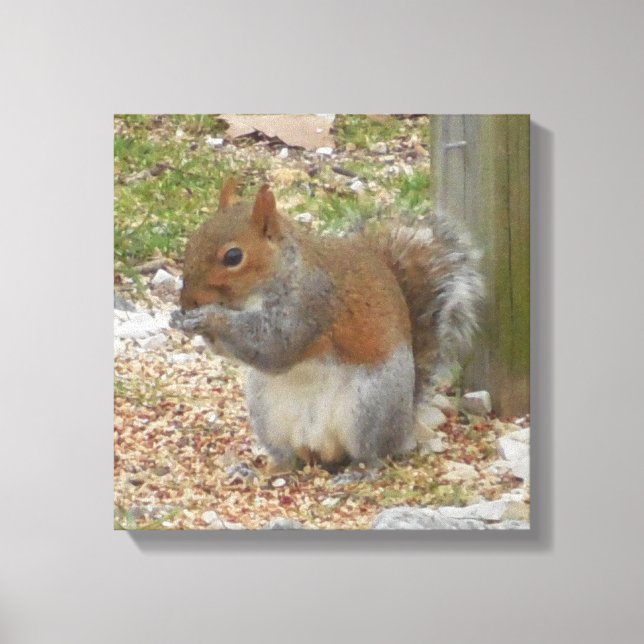 Cute Squirrel Canvas Art (Framsida)