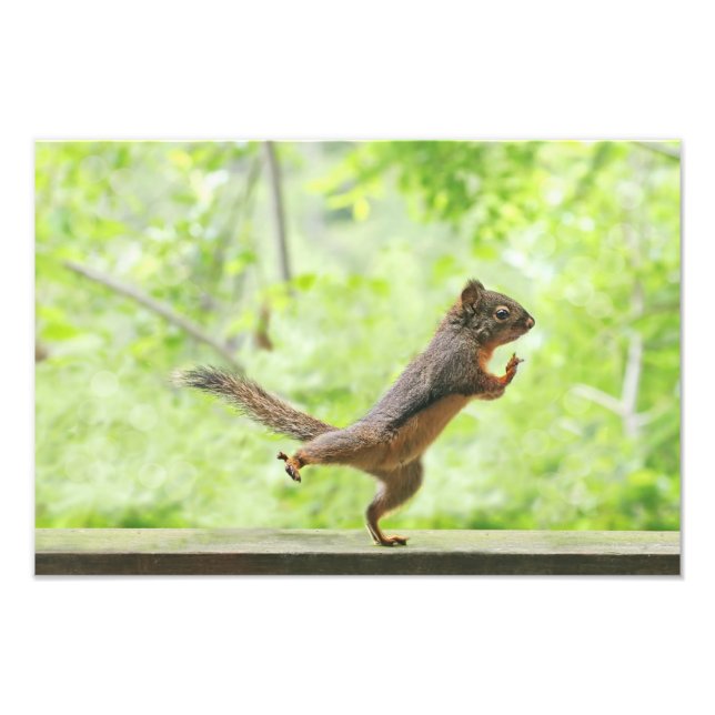 Cute Squirrel Doing Tai Chi Fototryck (Framsidan)